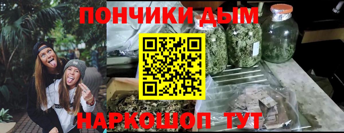 Бошки Шишки Amnesia Фурманов